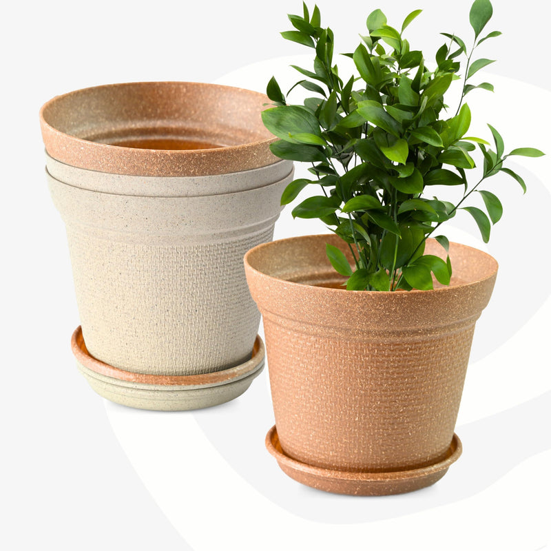 Free Eco Friendly Bamboo Based Pots - Inntinn.in