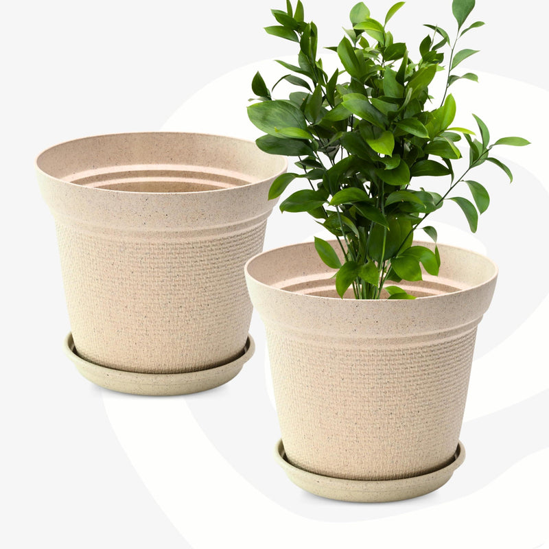 Free Eco Friendly Bamboo Based Pots - Inntinn.in