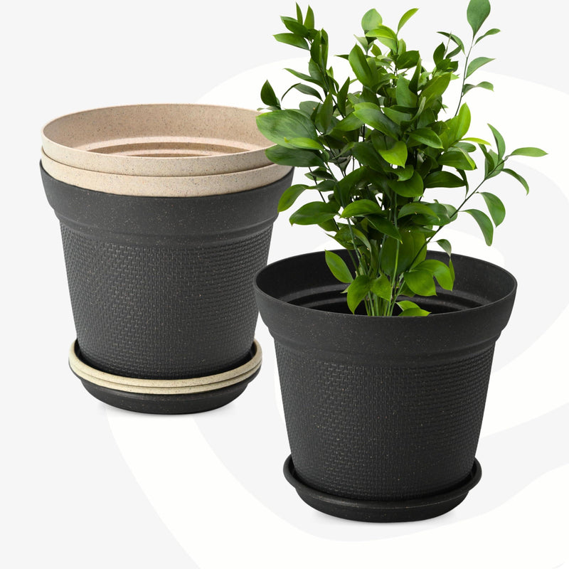 Free Eco Friendly Bamboo Based Pots - Inntinn.in