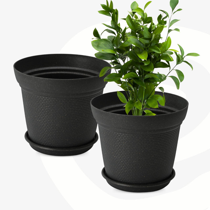 Free Eco Friendly Bamboo Based Pots - Inntinn.in