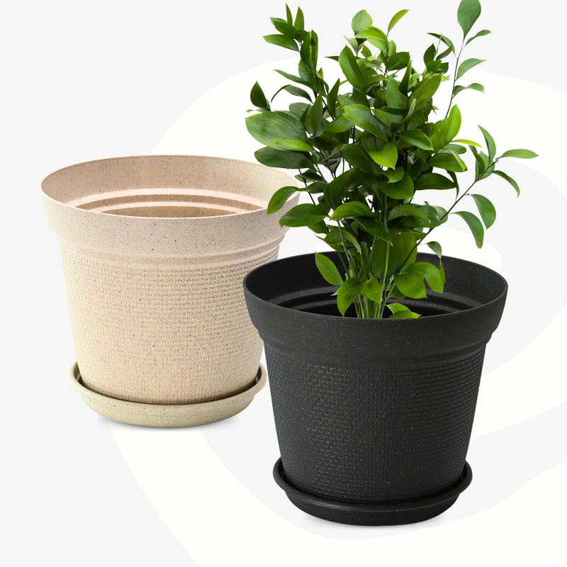 Free Eco Friendly Bamboo Based Pots - Inntinn.in