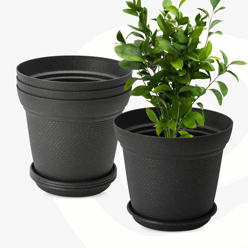 Free Eco Friendly Bamboo Based Pots - Inntinn.in