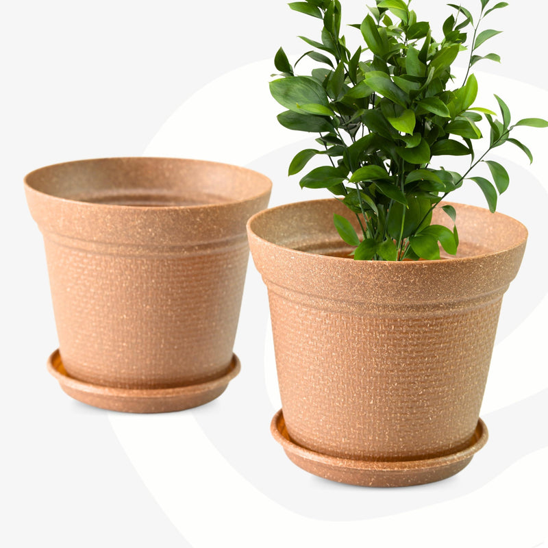 Free Eco Friendly Bamboo Based Pots - Inntinn.in