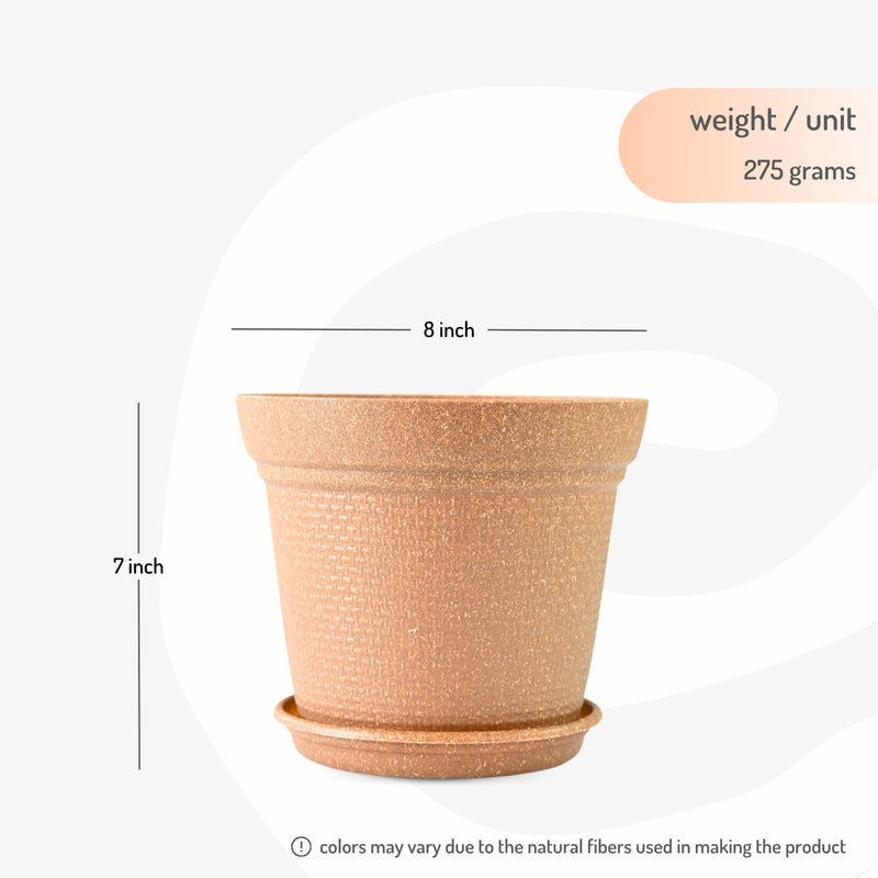 Free Eco Friendly Bamboo Based Pots - Inntinn.in