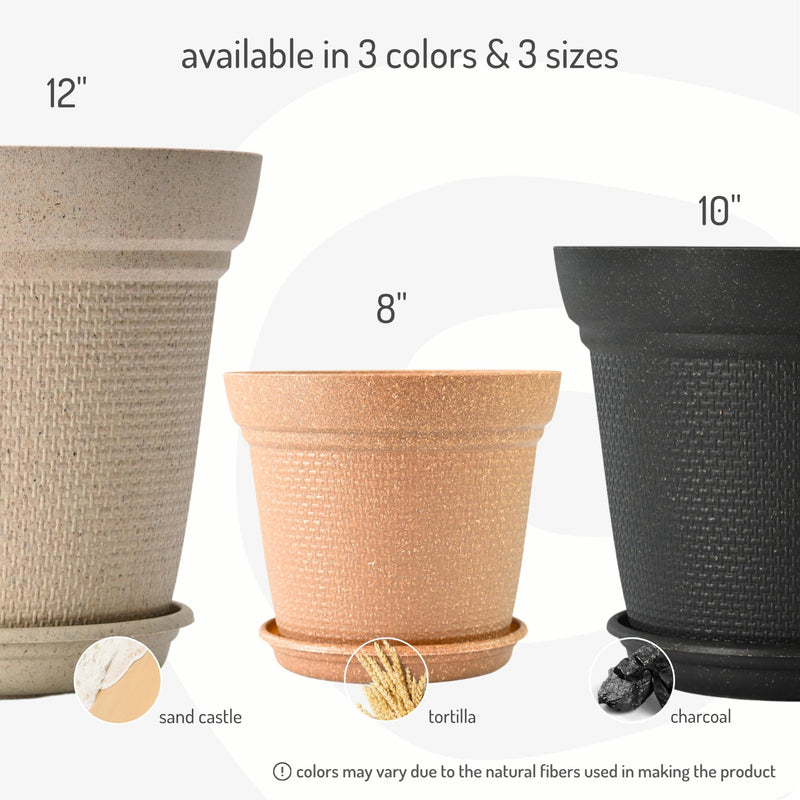 Free Eco Friendly Bamboo Based Pots - Inntinn.in