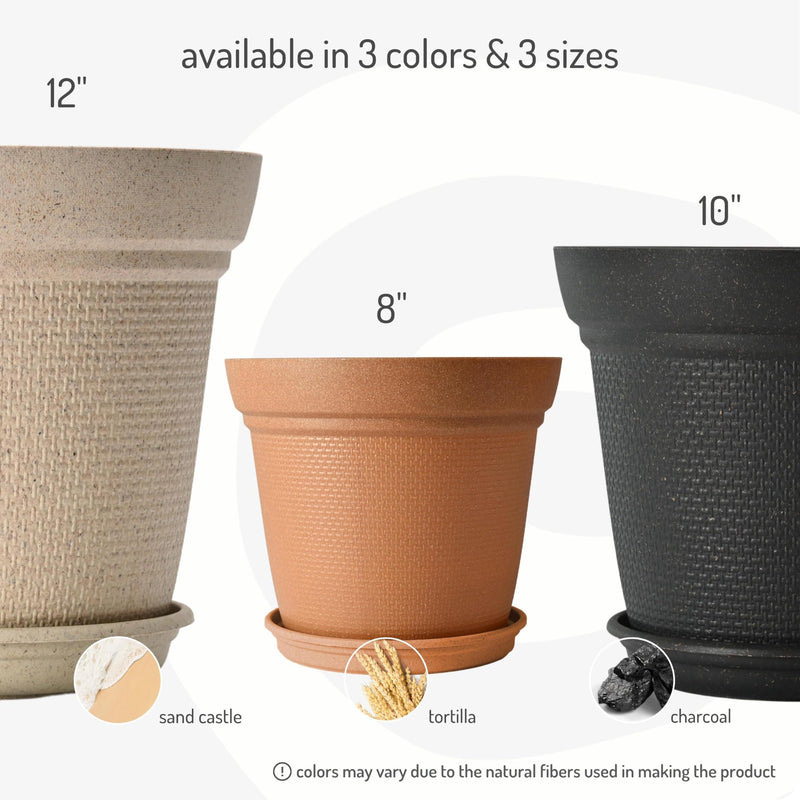 Free Eco Friendly Bamboo Based Pots - Inntinn.in