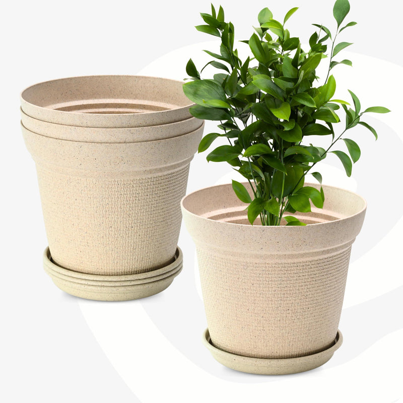 Free Eco Friendly Bamboo Based Pots - Inntinn.in