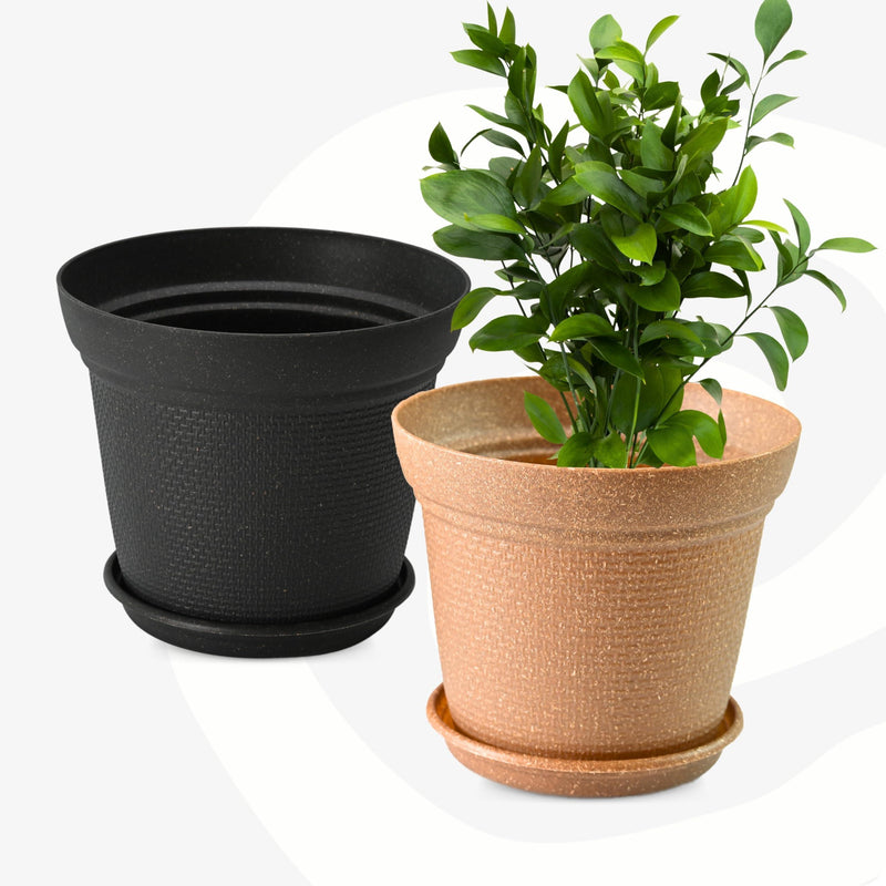 Free Eco Friendly Bamboo Based Pots - Inntinn.in