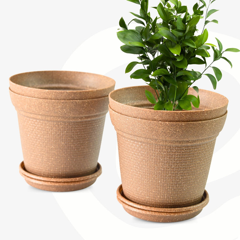 Free Eco Friendly Bamboo Based Pots - Inntinn.in