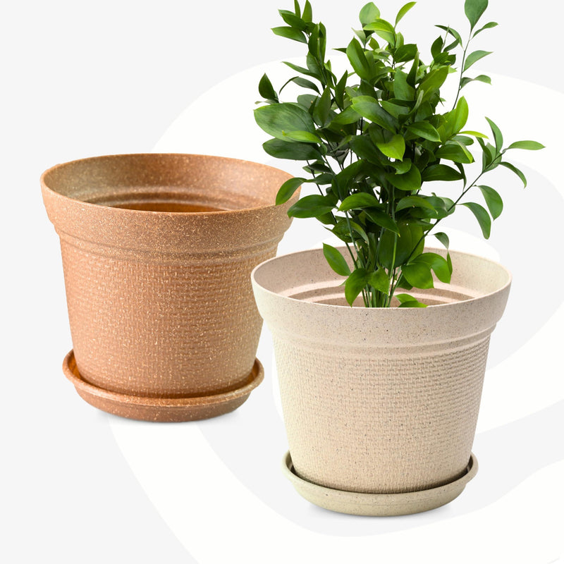 Free Eco Friendly Bamboo Based Pots - Inntinn.in