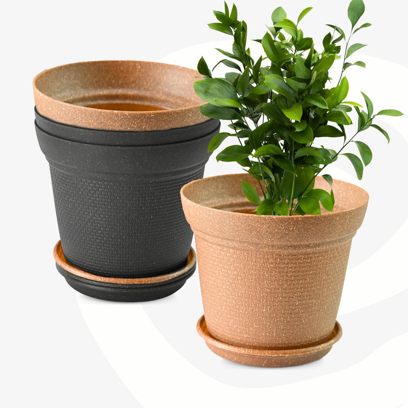 Free Eco Friendly Bamboo Based Pots - Inntinn.in